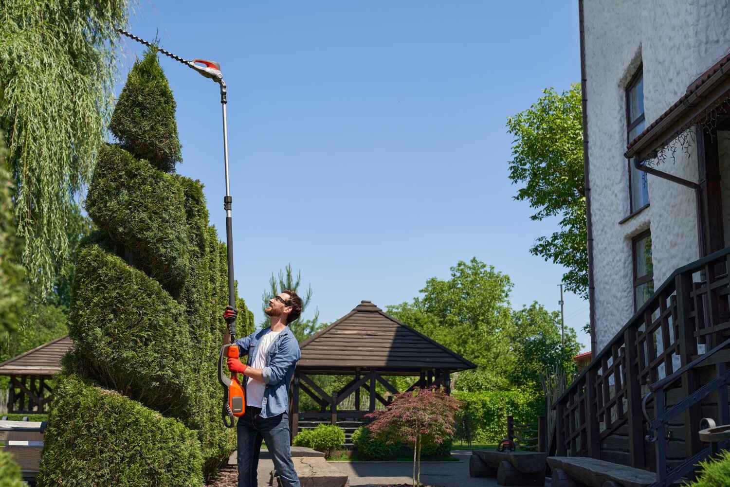 Residential Tree Removal in Brookside Village, TX